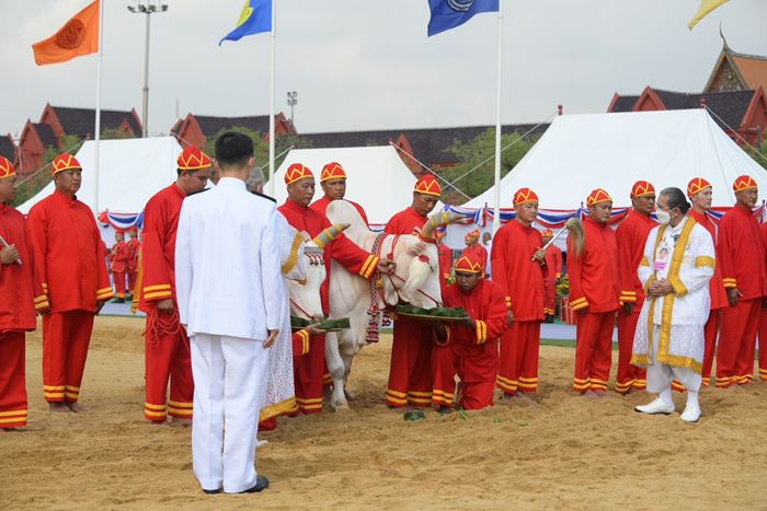 วันพืชมงคล วันพืชมงคล