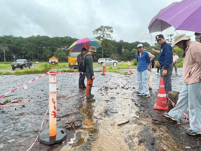 รอยตีนไดโนเสาร์ บนภูหินร่องกล้า รอยตีนไดโนเสาร์ บนภูหินร่องกล้า