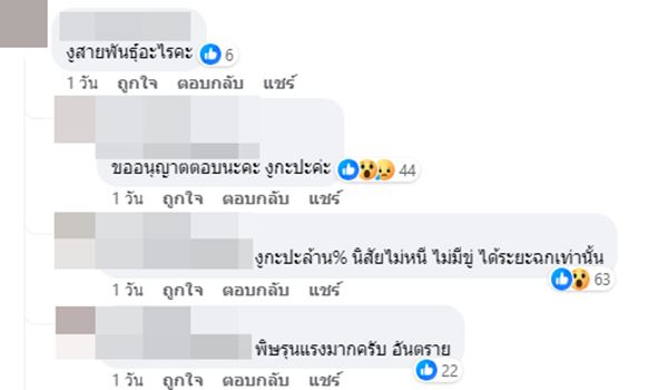 งูกัด งูกัด