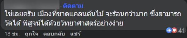 ต้นไม้ริมถนน ช่วยลดอุณหภูมิ ต้นไม้ริมถนน ช่วยลดอุณหภูมิ