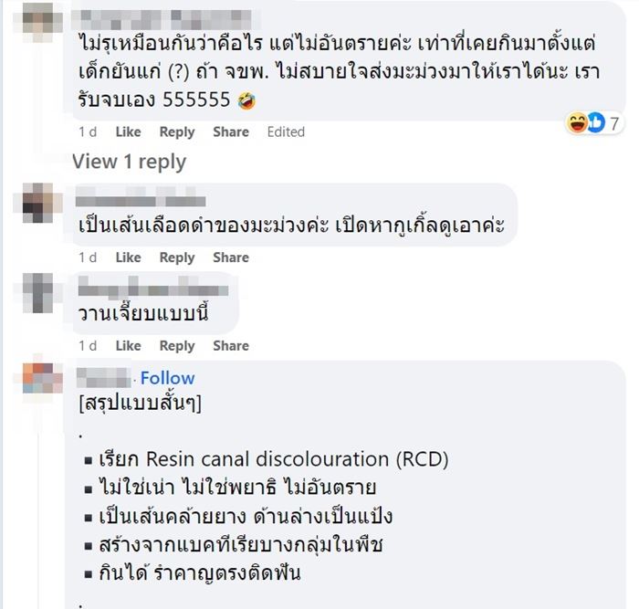 เส้นดำในมะม่วง เส้นดำในมะม่วง