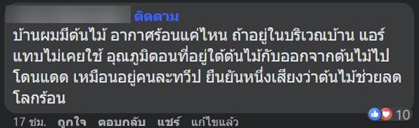 ต้นไม้ริมถนน ช่วยลดอุณหภูมิ ต้นไม้ริมถนน ช่วยลดอุณหภูมิ