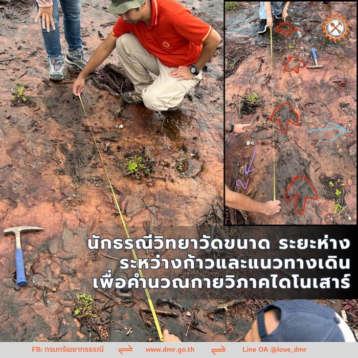 รอยตีนไดโนเสาร์ บนภูหินร่องกล้า รอยตีนไดโนเสาร์ บนภูหินร่องกล้า