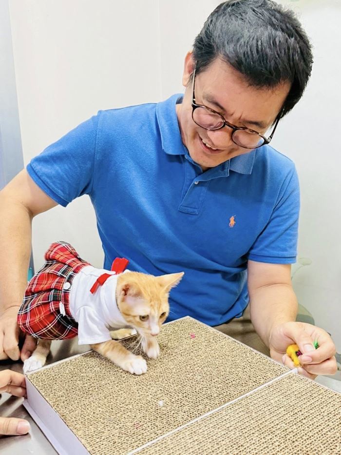 น้องสตง แมวส้ม น้องสตง แมวส้ม