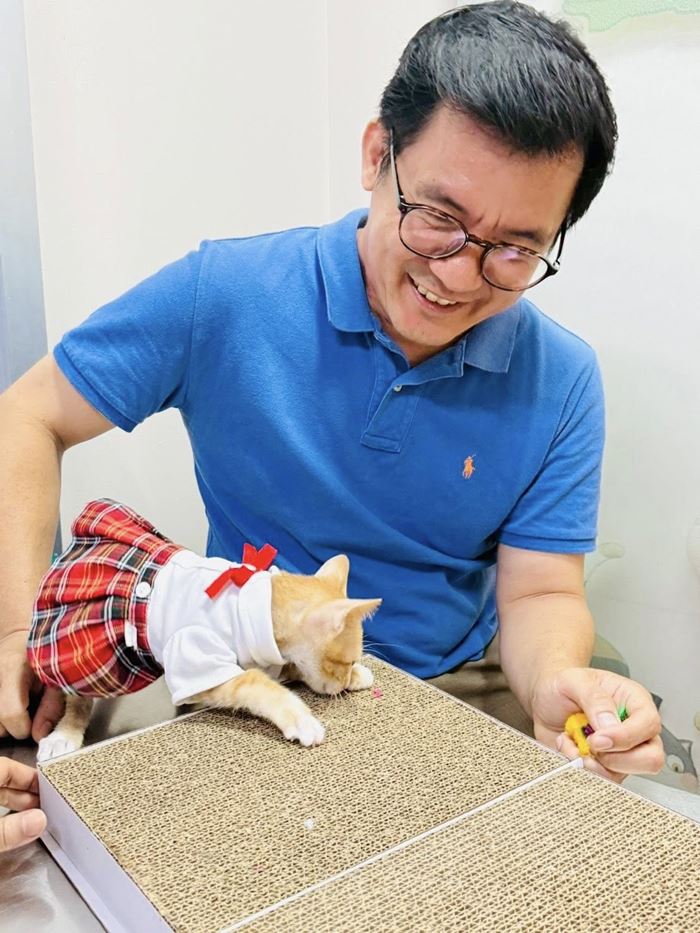 น้องสตง แมวส้ม น้องสตง แมวส้ม