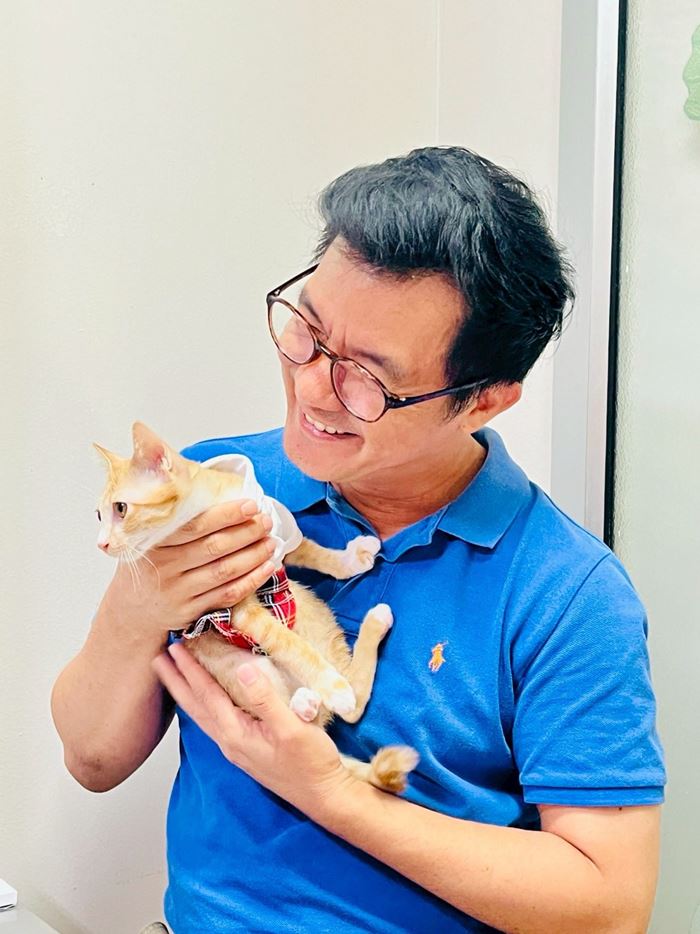 น้องสตง แมวส้ม น้องสตง แมวส้ม