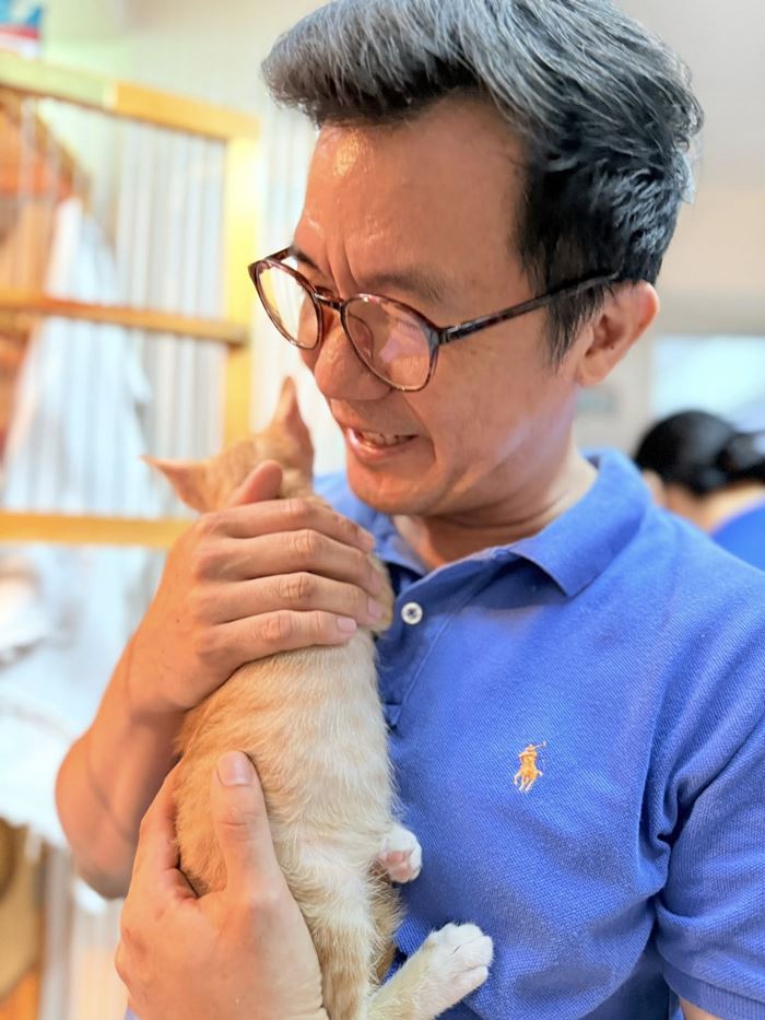 น้องสตง แมวส้ม น้องสตง แมวส้ม