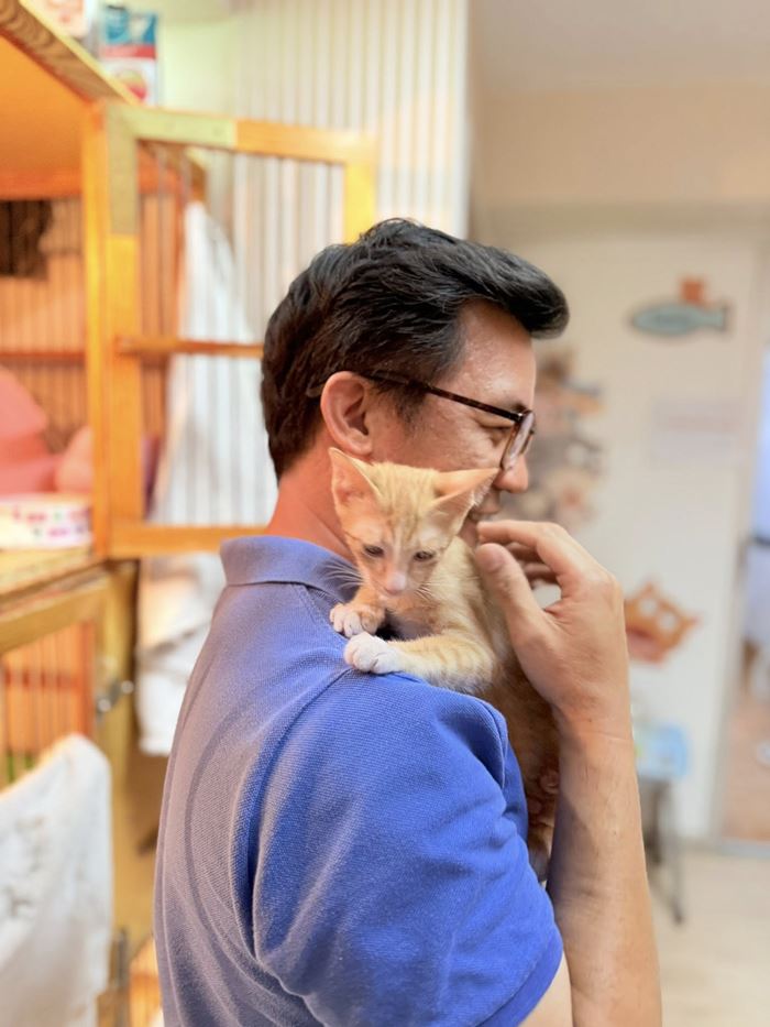 น้องสตง แมวส้ม น้องสตง แมวส้ม