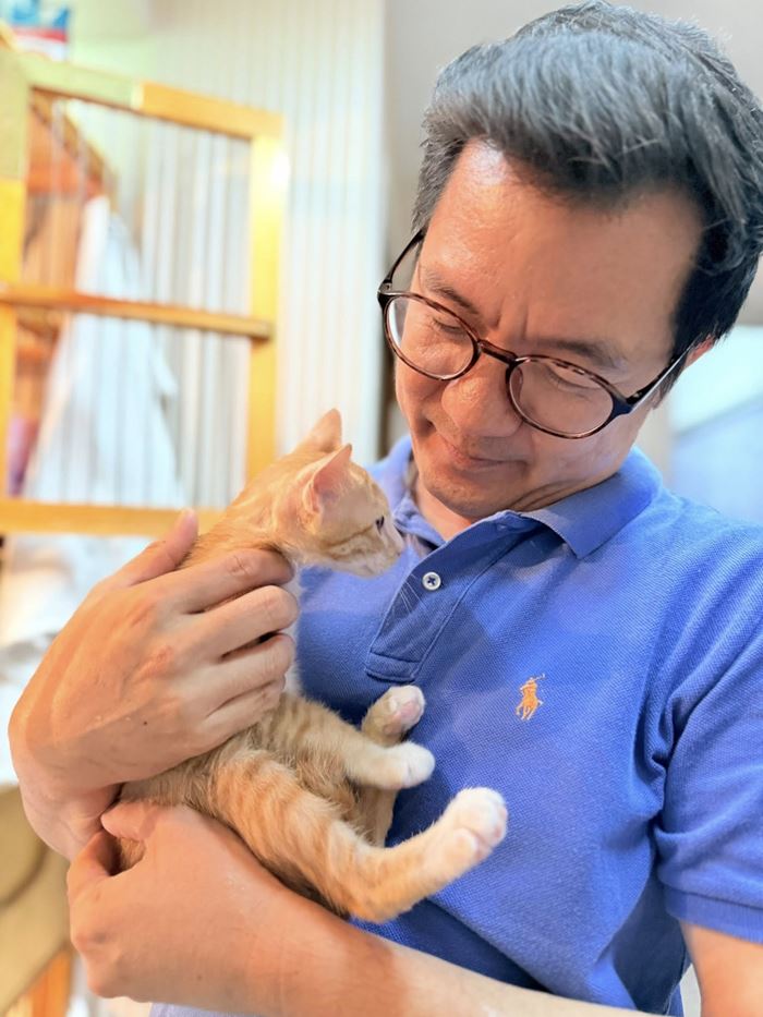 น้องสตง แมวส้ม น้องสตง แมวส้ม