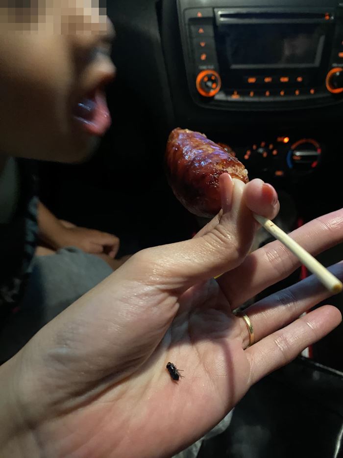 แมลงวันในไส้กรอกอีสาน แมลงวันในไส้กรอกอีสาน