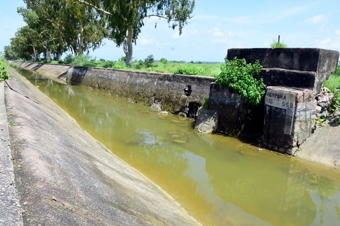 แม่ฆ่าหั่นศพลูก แม่ฆ่าหั่นศพลูก