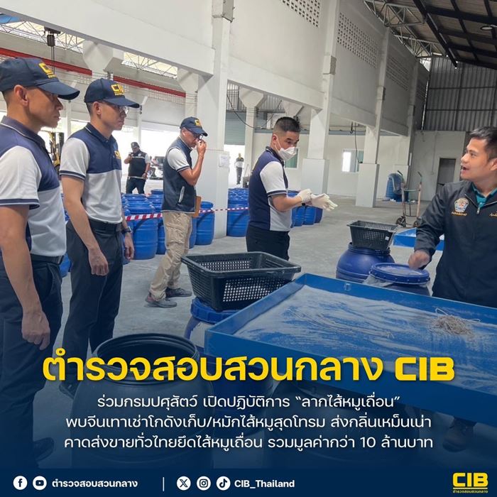 ไส้หมูเถื่อน ไส้หมูเถื่อน