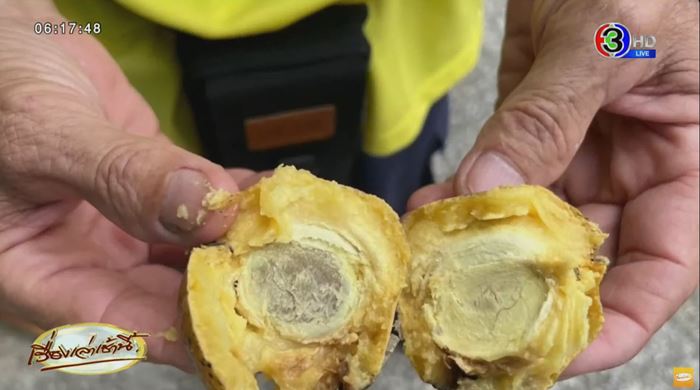 นักท่องเที่ยว กินผลไม้ป่าพิษ นักท่องเที่ยว กินผลไม้ป่าพิษ