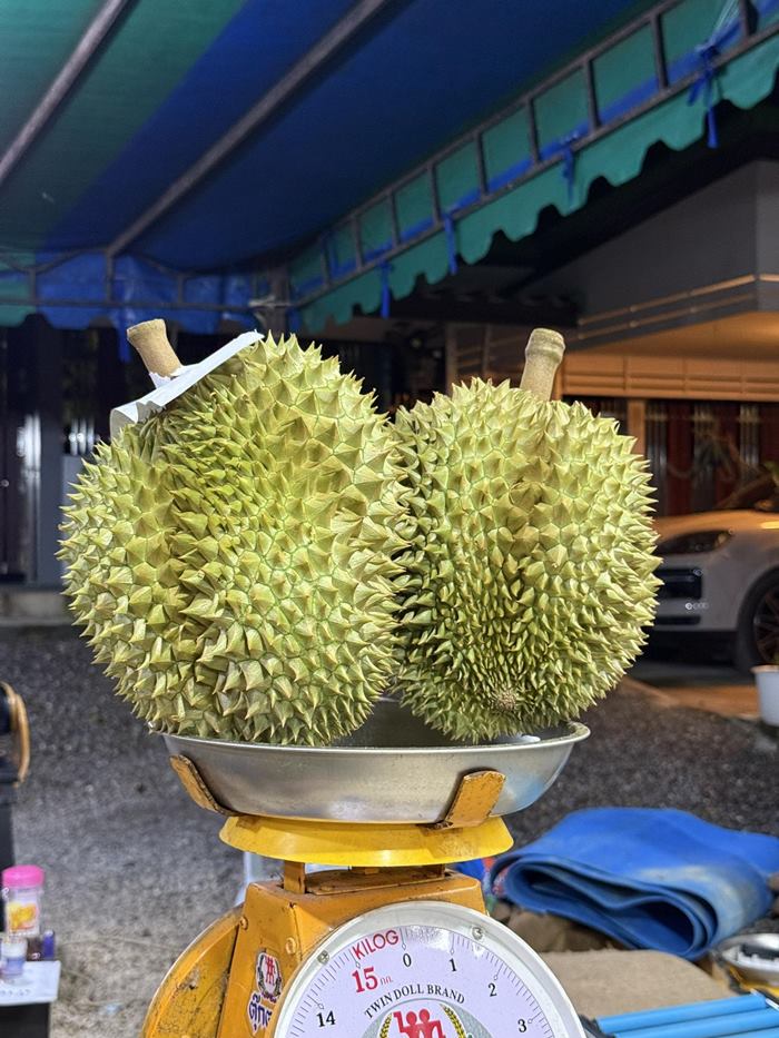 แพรรี่ ไพรวัลย์ แพรรี่ ไพรวัลย์