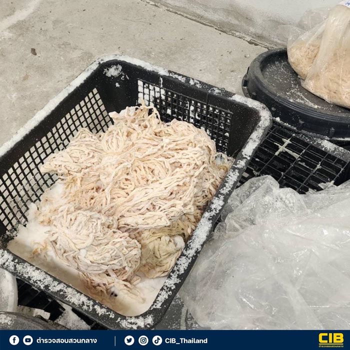 ไส้หมูเถื่อน ไส้หมูเถื่อน