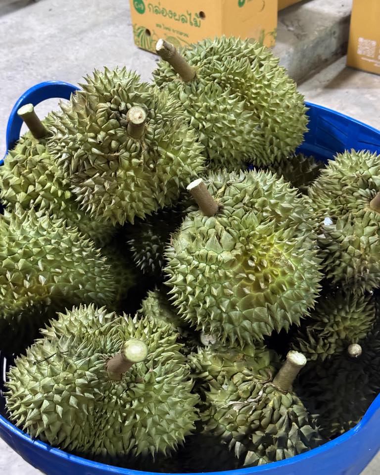 แพรรี่ ไพรวัลย์ แพรรี่ ไพรวัลย์