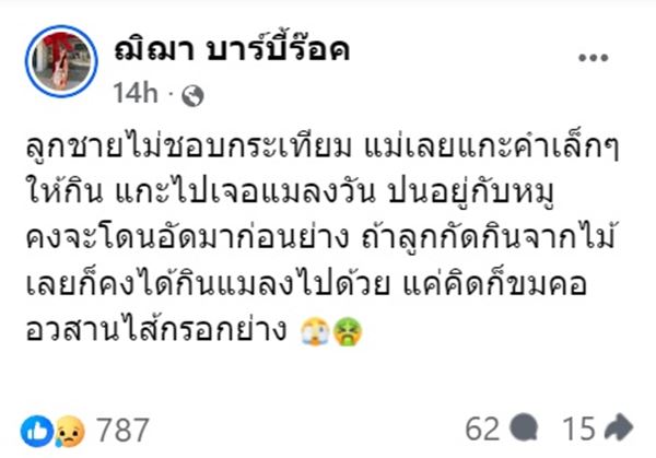 แมลงวันในไส้กรอกอีสาน แมลงวันในไส้กรอกอีสาน