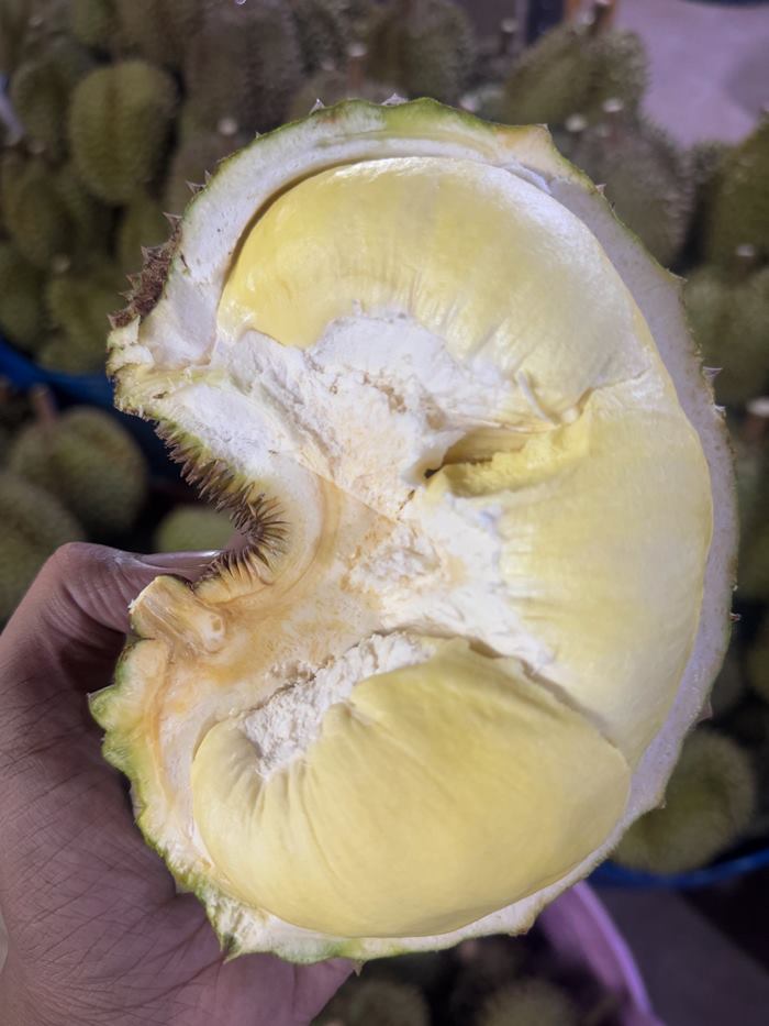 แพรรี่ ไพรวัลย์ แพรรี่ ไพรวัลย์