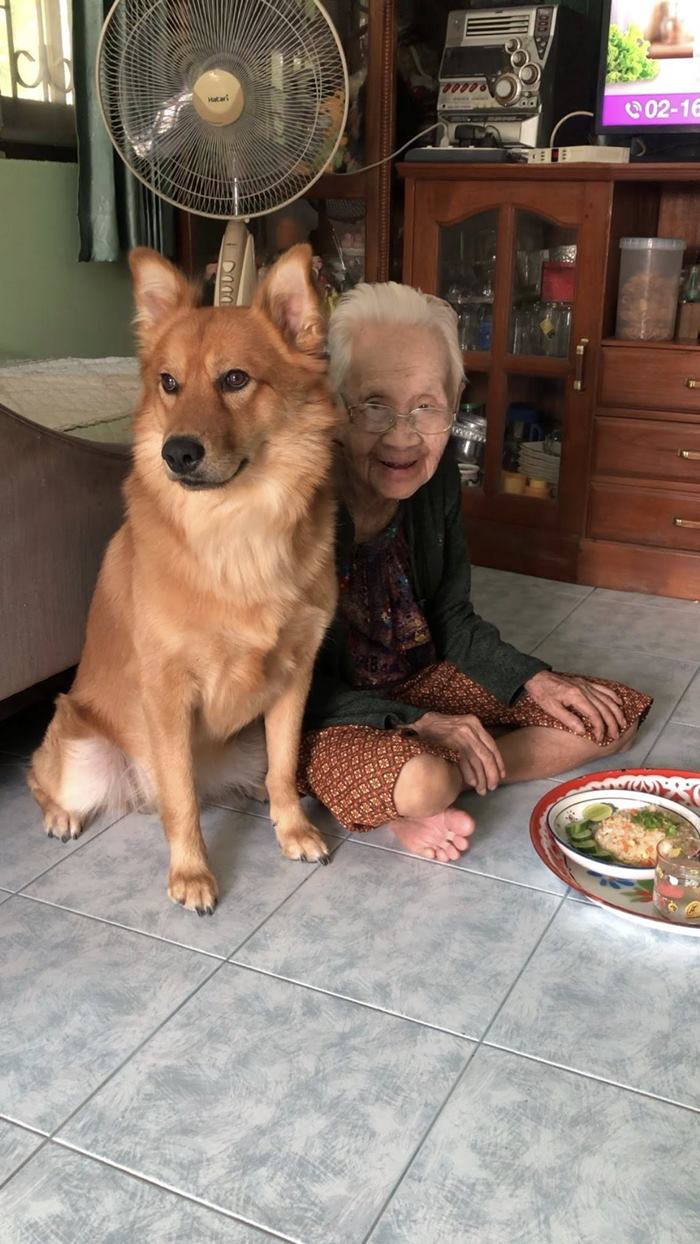 คุณยาย เพจลีโอไอ้หนูของยาย เสียชีวิต คุณยาย เพจลีโอไอ้หนูของยาย เสียชีวิต