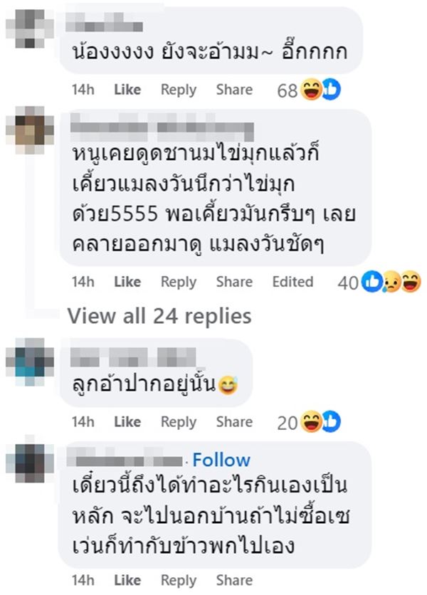 แมลงวันในไส้กรอกอีสาน แมลงวันในไส้กรอกอีสาน