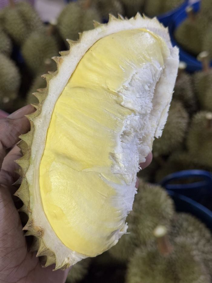 แพรรี่ ไพรวัลย์ แพรรี่ ไพรวัลย์