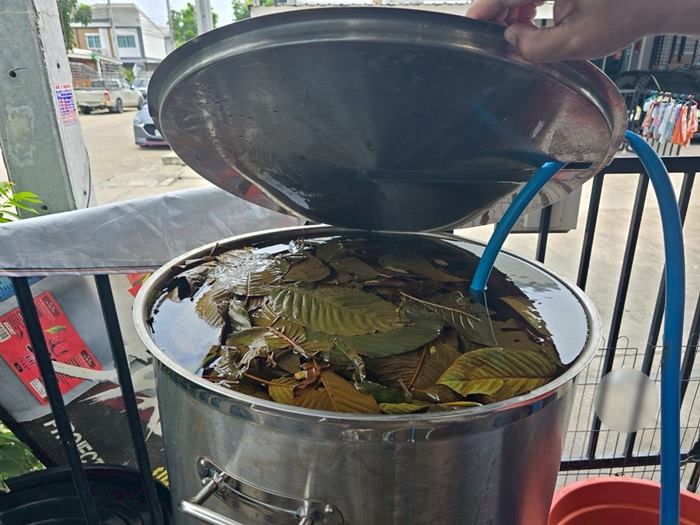 จับโรงงานผลิต 4X100 จับโรงงานผลิต 4X100