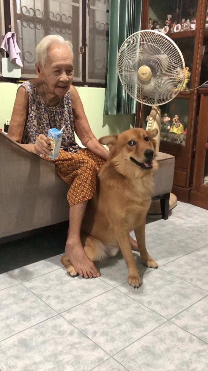 คุณยาย เพจลีโอไอ้หนูของยาย เสียชีวิต คุณยาย เพจลีโอไอ้หนูของยาย เสียชีวิต