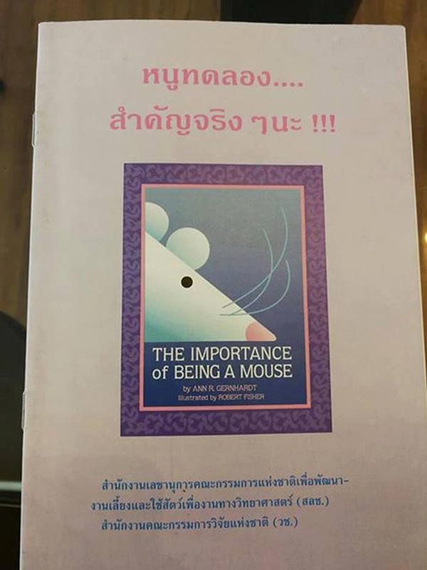 ภาษาไทย ภาษาไทย