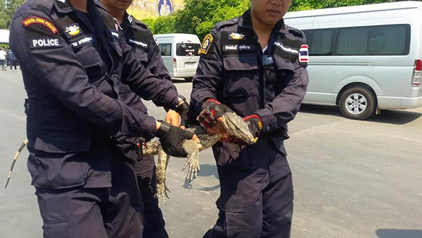 วัดพระธรรมกาย วัดพระธรรมกาย