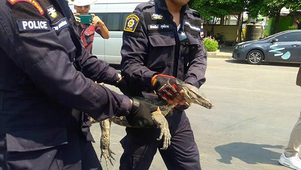 วัดพระธรรมกาย วัดพระธรรมกาย
