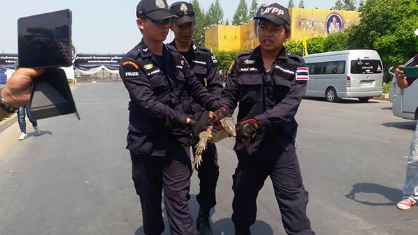 วัดพระธรรมกาย วัดพระธรรมกาย