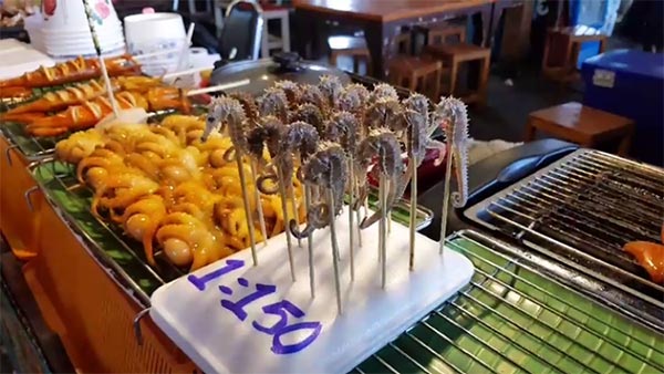 ม้าน้ำย่าง ม้าน้ำย่าง