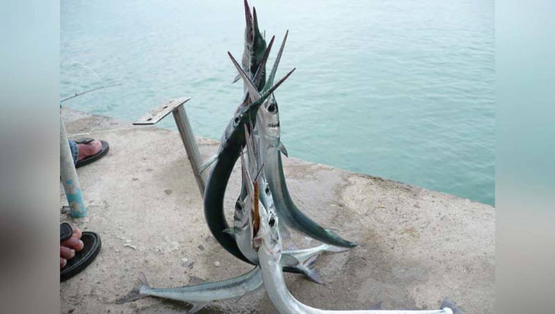 ทหารเสียชีวิต ทหารเสียชีวิต