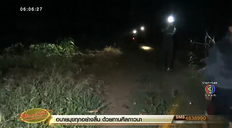 หลงป่า หลงป่า