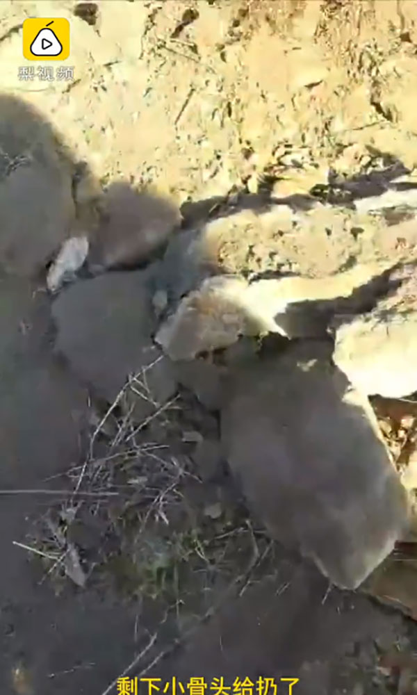 พ่อแม่ช็อก ศพลูกสาวถูกลอบขุดจากหลุม นำไปขายเป็นเจ้าสาวผีแก่ครอบครัวอื่น พ่อแม่ช็อก ศพลูกสาวถูกลอบขุดจากหลุม นำไปขายเป็นเจ้าสาวผีแก่ครอบครัวอื่น