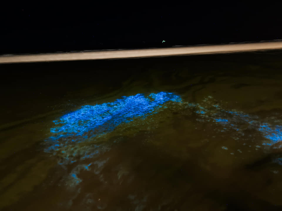 ปากน้ำปราณ ปากน้ำปราณ