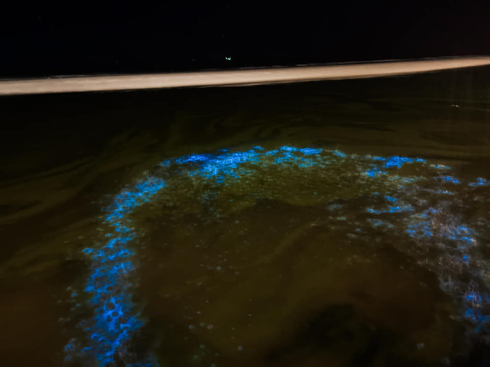 ปากน้ำปราณ ปากน้ำปราณ