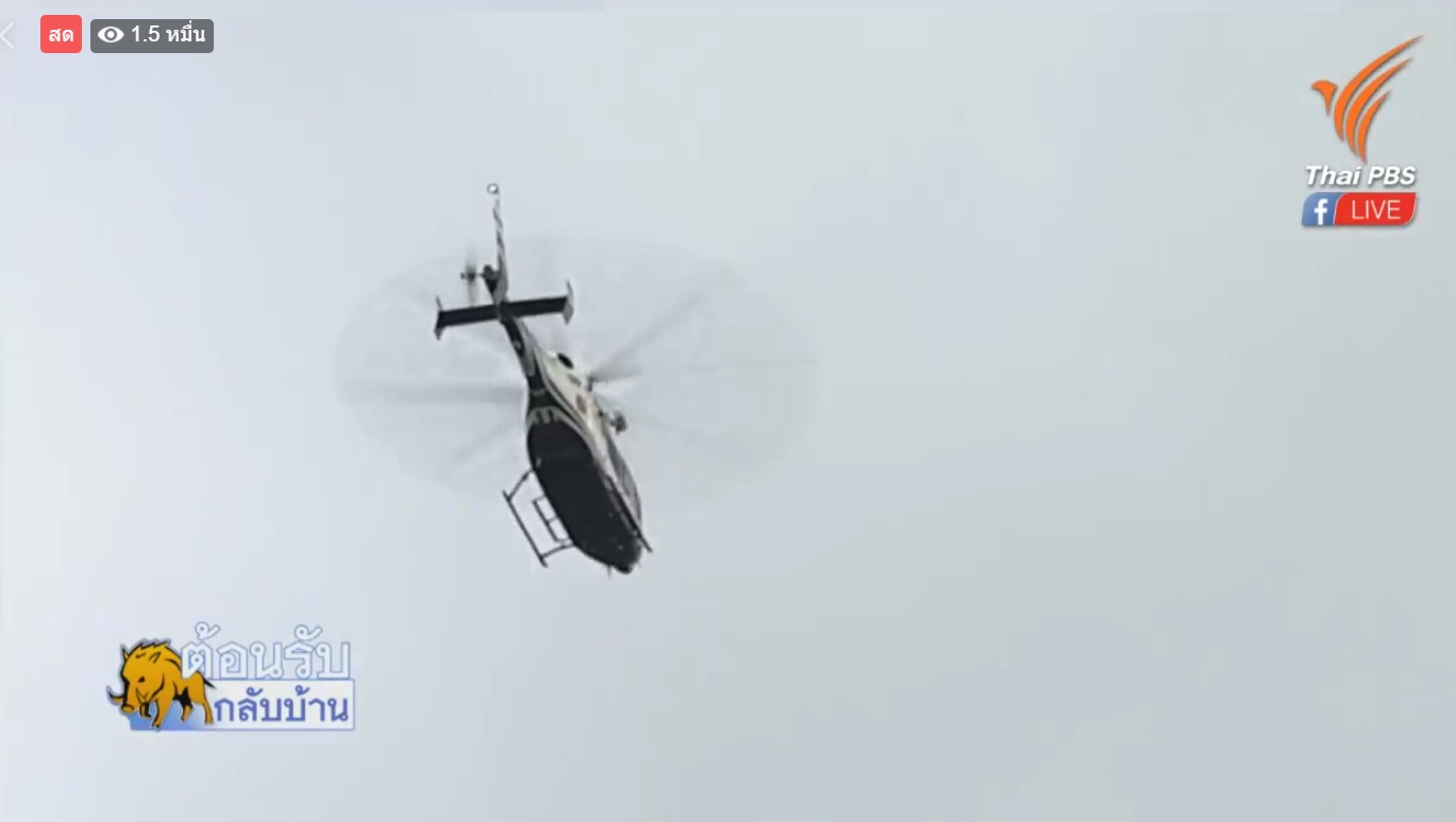 พาหมูป่ากลับบ้าน พาหมูป่ากลับบ้าน