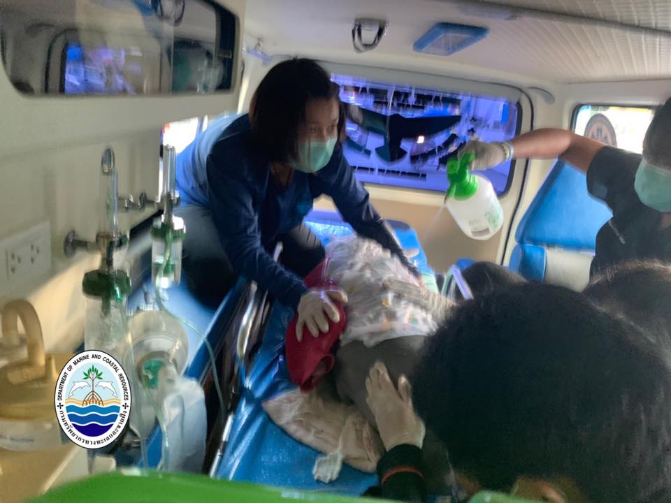 ยามีล ยามีล