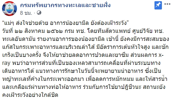 ยามีล ยามีล