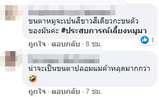 ขนตาอะไร ขนตาอะไร