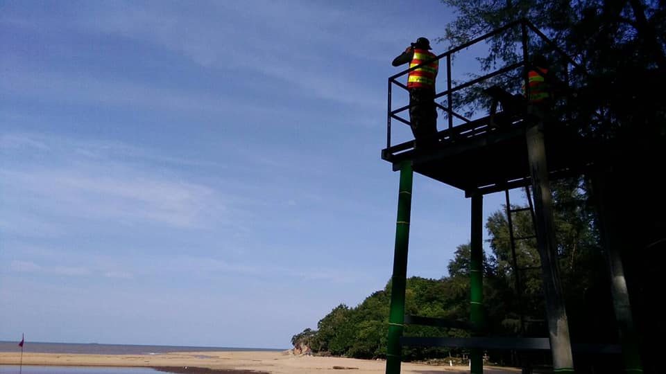 จระเข้น้ำเค็ม จระเข้น้ำเค็ม