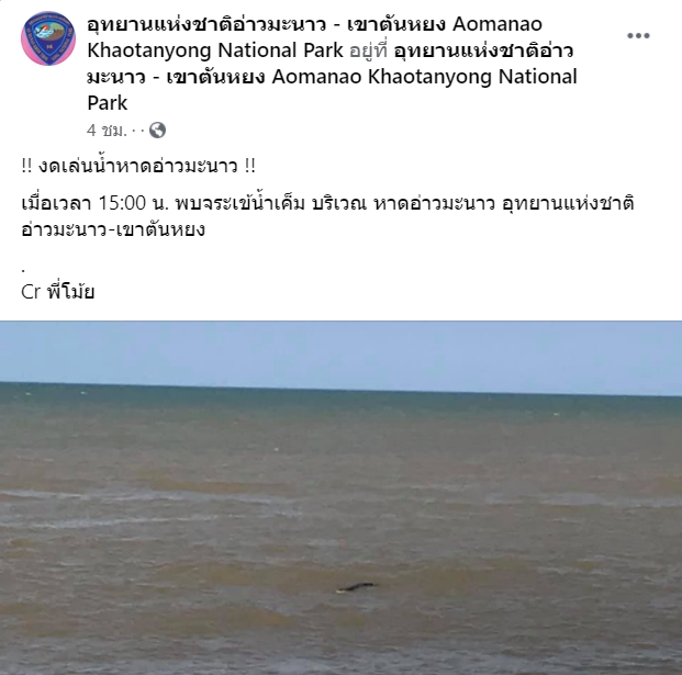 จระเข้น้ำเค็ม จระเข้น้ำเค็ม