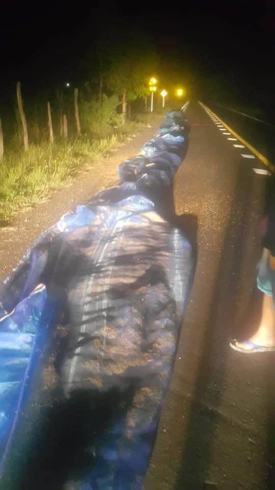 ตากข้าวบนถนน ตากข้าวบนถนน