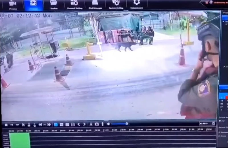 โชว์ด่านตรวจ โชว์ด่านตรวจ