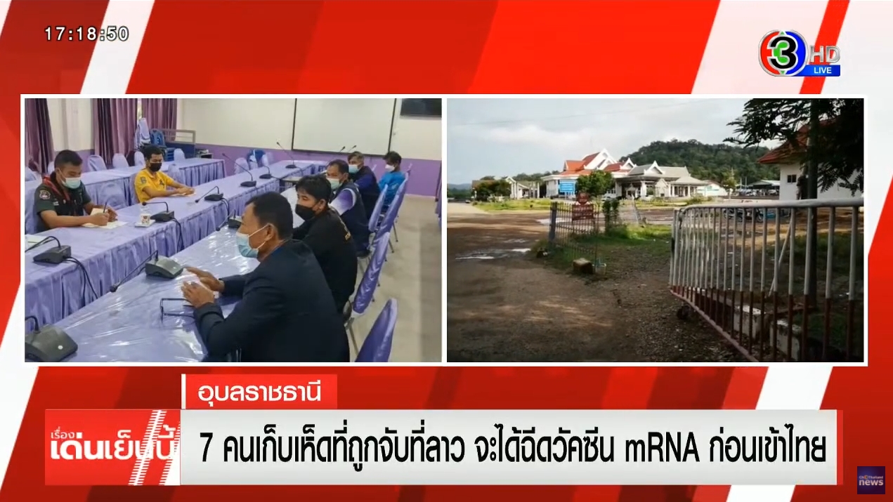 เก็บเห็ด เก็บเห็ด