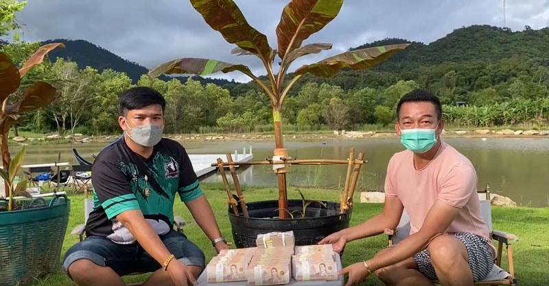 กล้วยด่าง กล้วยด่าง