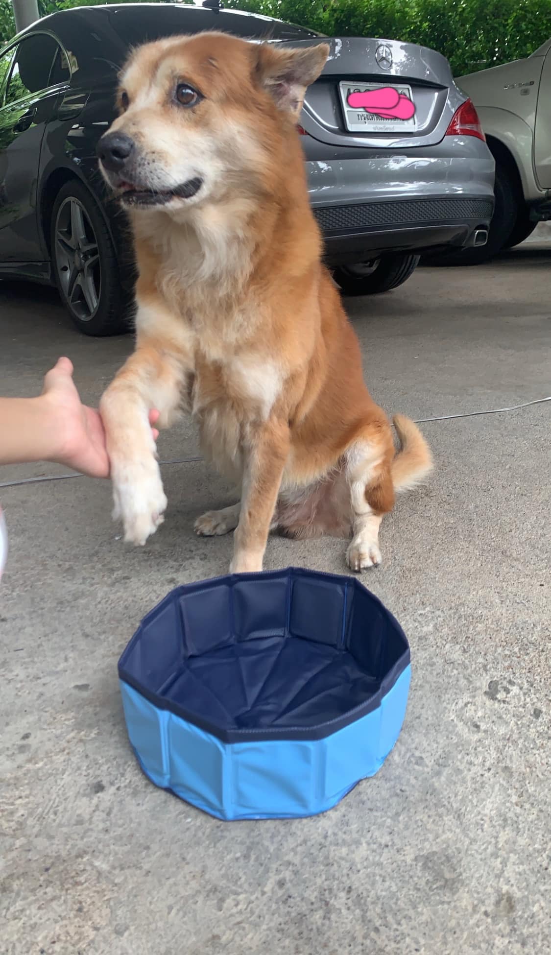 ดับฝันไม่ตรงปก ดับฝันไม่ตรงปก