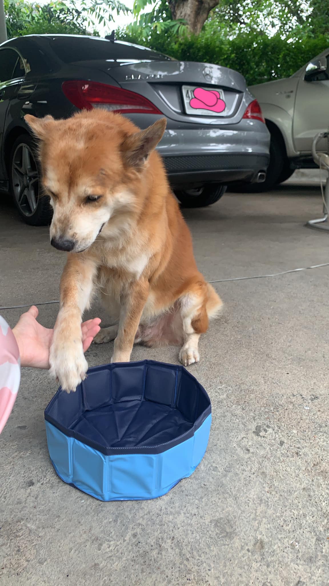 ดับฝันไม่ตรงปก ดับฝันไม่ตรงปก