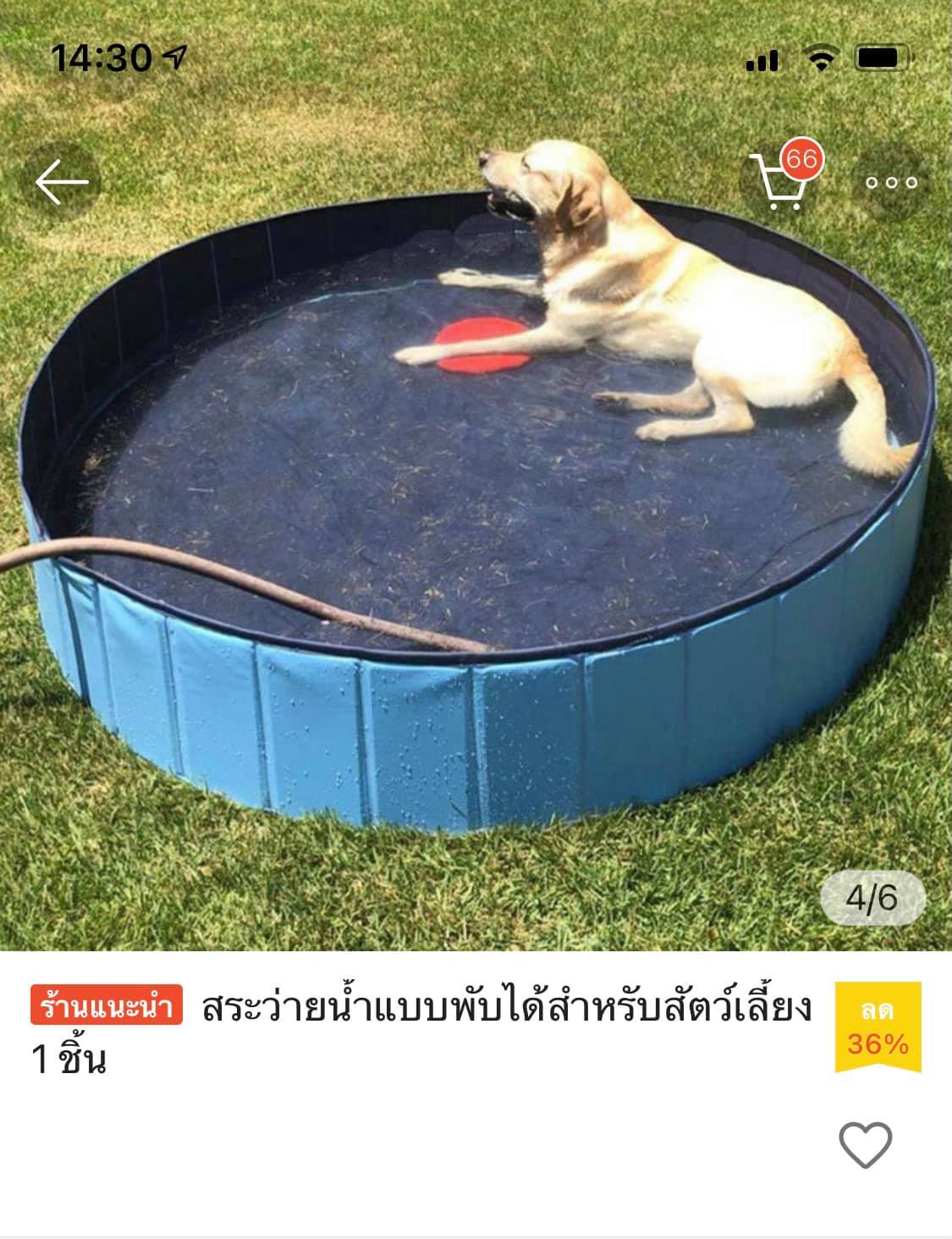 ดับฝันไม่ตรงปก ดับฝันไม่ตรงปก